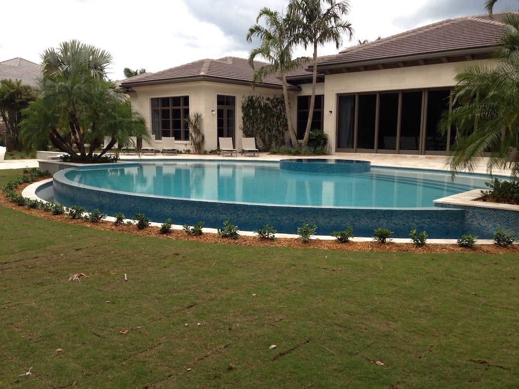 Freeform pool with spa